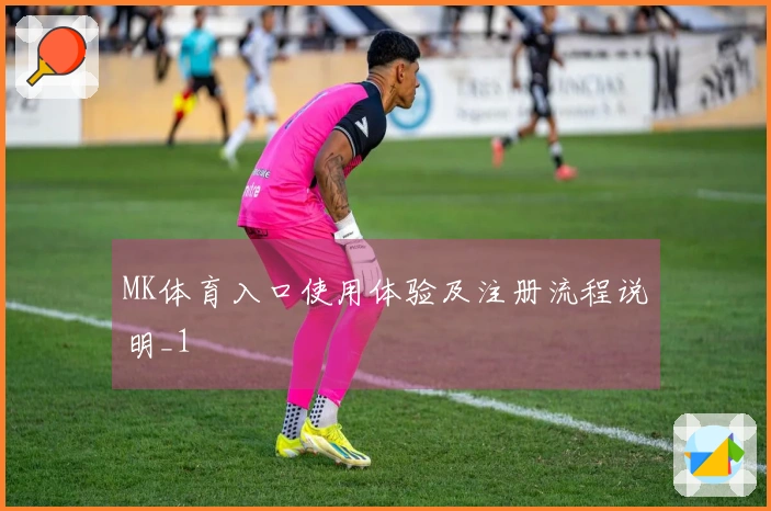 MK体育入口使用体验及注册流程说明_1