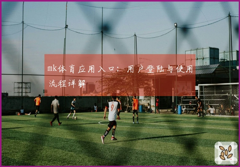 mk体育应用入口：用户登陆与使用流程详解