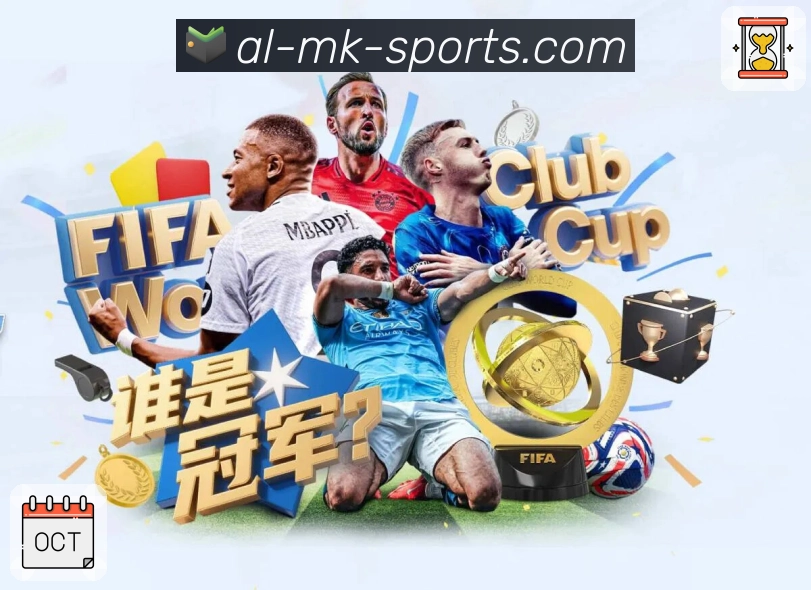 访问优化登录器